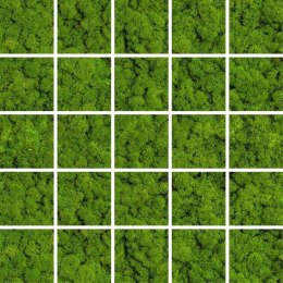 CERAMIKA KOŃSKIE MOZAIKA GREEN MOSS 24,8x24,8 G.1 CK