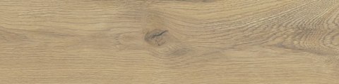 STARGRES Pp TAIGA / SGR280-1 BEIGE 15,5x62 G.1 SG PROMOCJA STARGRES Pp TAIGA / SGR280-1 BEIGE 15,5x62 G.1 SG PROMOCJA
