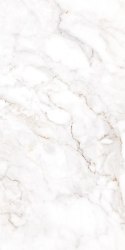 S EPICENTR PALAZZO WHITE SATIN 60X120 G.1