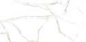 L CARRARA WHITE MATT 60X120 G.1 SPRAWDŹ FAKTYCZNĄ CENĘ I DOSTĘPNOŚĆ
