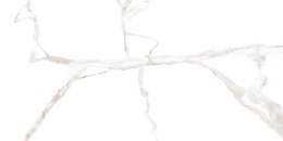 L CARRARA WHITE MATT 60X120 G.1 SPRAWDŹ FAKTYCZNĄ CENĘ I DOSTĘPNOŚĆ