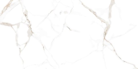 L CARRARA WHITE MATT 60X120 G.1 SPRAWDŹ FAKTYCZNĄ CENĘ I DOSTĘPNOŚĆ L CARRARA WHITE MATT 60X120 G.1 SPRAWDŹ FAKTYCZNĄ CENĘ I DOSTĘPNOŚĆ