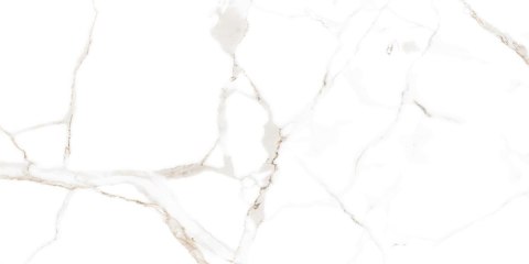 L CARRARA WHITE MATT 60X120 G.1 SPRAWDŹ FAKTYCZNĄ CENĘ I DOSTĘPNOŚĆ L CARRARA WHITE MATT 60X120 G.1 SPRAWDŹ FAKTYCZNĄ CENĘ I DOSTĘPNOŚĆ