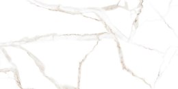 L CARRARA WHITE POLISHED 60X120 G.1 SPRAWDŹ FAKTYCZNĄ CENĘ I DOSTĘPNOŚĆ