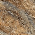 L DOLMEN BEIGE POLISHED 60X60 G.1 SPRAWDŹ FAKTYCZNĄ CENĘ I DOSTĘPNOŚĆ