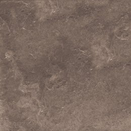 L HARD STONE BROWN STRUCTURE MATT 60X60 G.1 SPRAWDŹ FAKTYCZNĄ CENĘ I DOSTĘPNOŚĆ