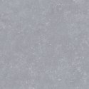 L INVERSION 01 GREY MATT R10 60X60 G.1 SPRAWDŹ FAKTYCZNĄ CENĘ I DOSTĘPNOŚĆ
