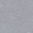L INVERSION 01 GREY MATT R10 60X60 G.1 SPRAWDŹ FAKTYCZNĄ CENĘ I DOSTĘPNOŚĆ