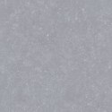 L INVERSION 01 GREY MATT R10 60X60 G.1 SPRAWDŹ FAKTYCZNĄ CENĘ I DOSTĘPNOŚĆ