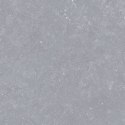 L INVERSION 01 GREY MATT R10 60X60 G.1 SPRAWDŹ FAKTYCZNĄ CENĘ I DOSTĘPNOŚĆ