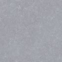 L INVERSION 01 GREY MATT R10 60X60 G.1 SPRAWDŹ FAKTYCZNĄ CENĘ I DOSTĘPNOŚĆ