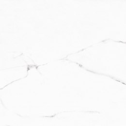 L MARBLE WHITE POLISHED 60X60 G.1 SPRAWDŹ FAKTYCZNĄ CENĘ I DOSTĘPNOŚĆ