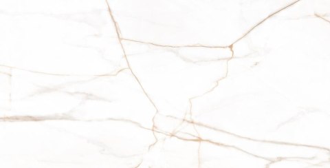 L MARMO GOLD LAPPATO 60X120 G.1 SPRAWDŹ FAKTYCZNĄ CENĘ I DOSTĘPNOŚĆ L MARMO GOLD LAPPATO 60X120 G.1 SPRAWDŹ FAKTYCZNĄ CENĘ I DOSTĘPNOŚĆ