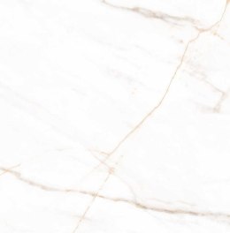 L MARMO GOLD MATT 60X60 G.1 SPRAWDŹ FAKTYCZNĄ CENĘ I DOSTĘPNOŚĆ