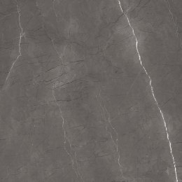 L MUSSE SILVER MATT STRUCTURE CARVING 60X60 G.1 SPRAWDŹ FAKTYCZNĄ CENĘ I DOSTĘPNOŚĆ
