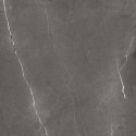 L MUSSE SILVER MATT STRUCTURE CARVING 60X60 G.1 SPRAWDŹ FAKTYCZNĄ CENĘ I DOSTĘPNOŚĆ