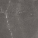 L MUSSE SILVER MATT STRUCTURE CARVING 60X60 G.1 SPRAWDŹ FAKTYCZNĄ CENĘ I DOSTĘPNOŚĆ