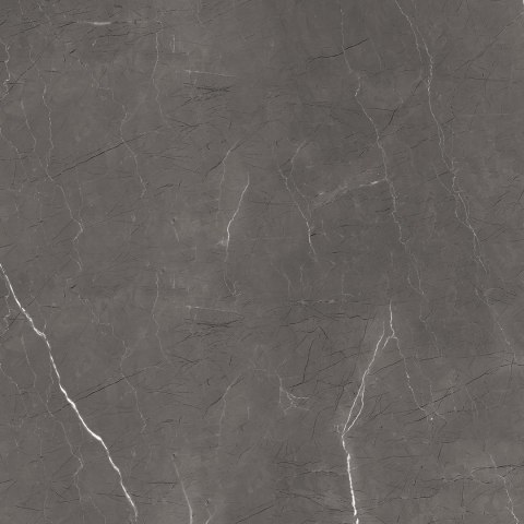 L MUSSE SILVER MATT STRUCTURE CARVING 60X60 G.1 SPRAWDŹ FAKTYCZNĄ CENĘ I DOSTĘPNOŚĆ L MUSSE SILVER MATT STRUCTURE CARVING 60X60 G.1 SPRAWDŹ FAKTYCZNĄ CENĘ I DOSTĘPNOŚĆ