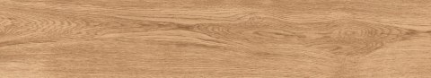 L PINHO BROWN MATT 20X120 G.1 SPRAWDŹ FAKTYCZNĄ CENĘ I DOSTĘPNOŚĆ L PINHO BROWN MATT 20X120 G.1 SPRAWDŹ FAKTYCZNĄ CENĘ I DOSTĘPNOŚĆ