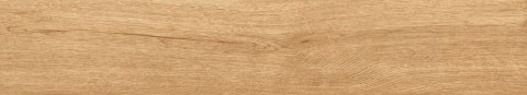 L PINHO HONEY MATT 20X120 G.1 SPRAWDŹ FAKTYCZNĄ CENĘ I DOSTĘPNOŚĆ L PINHO HONEY MATT 20X120 G.1 SPRAWDŹ FAKTYCZNĄ CENĘ I DOSTĘPNOŚĆ