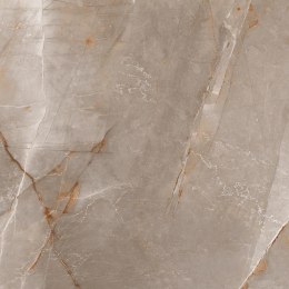 L SCALE GRAY LAPPATO 60X60 G.1 SPRAWDŹ FAKTYCZNĄ CENĘ I DOSTĘPNOŚĆ