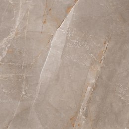 L SCALE GRAY POLISHED 60X60 G.1 SPRAWDŹ FAKTYCZNĄ CENĘ I DOSTĘPNOŚĆ