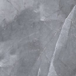 L SCALE SILVER MATT 60X60 G.1 SPRAWDŹ FAKTYCZNĄ CENĘ I DOSTĘPNOŚĆ