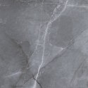 L SCALE SILVER MATT 60X60 G.1 SPRAWDŹ FAKTYCZNĄ CENĘ I DOSTĘPNOŚĆ