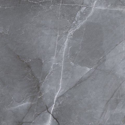 L SCALE SILVER MATT 60X60 G.1 SPRAWDŹ FAKTYCZNĄ CENĘ I DOSTĘPNOŚĆ L SCALE SILVER MATT 60X60 G.1 SPRAWDŹ FAKTYCZNĄ CENĘ I DOSTĘPNOŚĆ