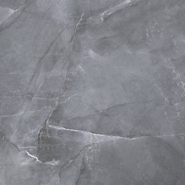 L SCALE SILVER POLISHED 60X60 G.1 SPRAWDŹ FAKTYCZNĄ CENĘ I DOSTĘPNOŚĆ