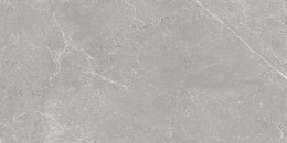 L HARD ROCK SILVER MATT 60X120 G.1 SPRAWDŹ FAKTYCZNĄ CENĘ I DOSTĘPNOŚĆ