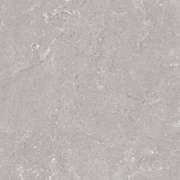 L HARD ROCK SILVER MATT 60X60 G.1 SPRAWDŹ FAKTYCZNĄ CENĘ I DOSTĘPNOŚĆ