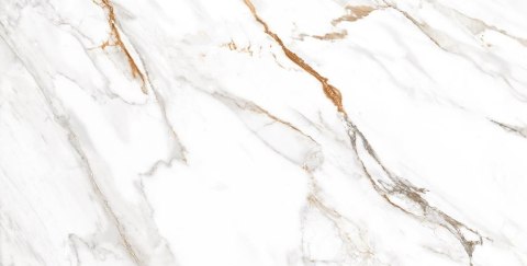 L OHIO GOLD POLISHED 60X120 G.1 SPRAWDŹ FAKTYCZNĄ CENĘ I DOSTĘPNOŚĆ L OHIO GOLD POLISHED 60X120 G.1 SPRAWDŹ FAKTYCZNĄ CENĘ I DOSTĘPNOŚĆ