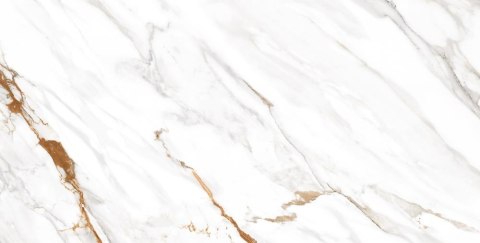 L OHIO GOLD POLISHED 60X120 G.1 SPRAWDŹ FAKTYCZNĄ CENĘ I DOSTĘPNOŚĆ L OHIO GOLD POLISHED 60X120 G.1 SPRAWDŹ FAKTYCZNĄ CENĘ I DOSTĘPNOŚĆ