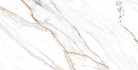 L OHIO GOLD POLISHED 60X120 G.1 SPRAWDŹ FAKTYCZNĄ CENĘ I DOSTĘPNOŚĆ L OHIO GOLD POLISHED 60X120 G.1 SPRAWDŹ FAKTYCZNĄ CENĘ I DOSTĘPNOŚĆ