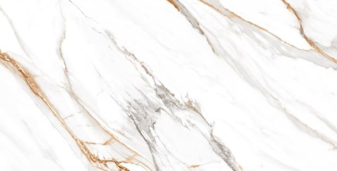 L OHIO GOLD POLISHED 60X120 G.1 SPRAWDŹ FAKTYCZNĄ CENĘ I DOSTĘPNOŚĆ L OHIO GOLD POLISHED 60X120 G.1 SPRAWDŹ FAKTYCZNĄ CENĘ I DOSTĘPNOŚĆ