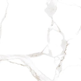 L CARRARA WHITE MATT 60X60 G.1 SPRAWDŹ FAKTYCZNĄ CENĘ I DOSTĘPNOŚĆ