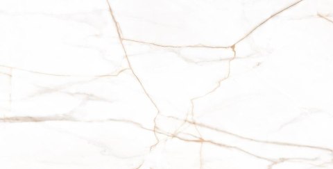 L MARMO GOLD POLISHED 60X120 G.1 SPRAWDŹ FAKTYCZNĄ CENĘ I DOSTĘPNOŚĆ L MARMO GOLD POLISHED 60X120 G.1 SPRAWDŹ FAKTYCZNĄ CENĘ I DOSTĘPNOŚĆ