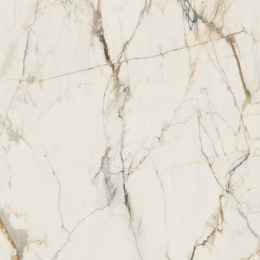 PASSION WHITE GRES SZKL. REKT. MAT 119,8X119,8 G1