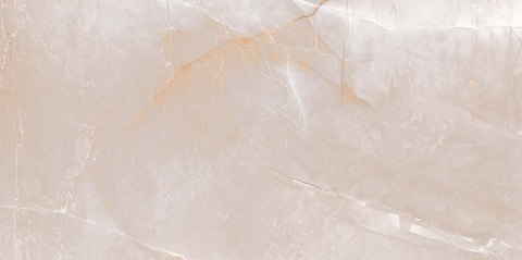 L SCALE WHITE MATT 60X120 G.1 SPRAWDŹ FAKTYCZNĄ CENĘ I DOSTĘPNOŚĆ L SCALE WHITE MATT 60X120 G.1 SPRAWDŹ FAKTYCZNĄ CENĘ I DOSTĘPNOŚĆ