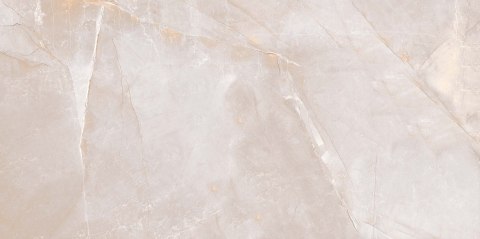 L SCALE WHITE MATT 60X120 G.1 SPRAWDŹ FAKTYCZNĄ CENĘ I DOSTĘPNOŚĆ L SCALE WHITE MATT 60X120 G.1 SPRAWDŹ FAKTYCZNĄ CENĘ I DOSTĘPNOŚĆ