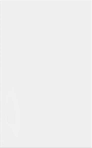 NEVE BIANCO ŚCIANA POŁYSK 25X40 G1 NEVE BIANCO ŚCIANA POŁYSK 25X40 G1
