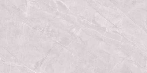 Tigrina Light Grey Mat GRS.998B.M 120x60 - Ścienno - podłogowa - Mat Tigrina Light Grey Mat GRS.998B.M 120x60 - Ścienno - podłogowa - Mat