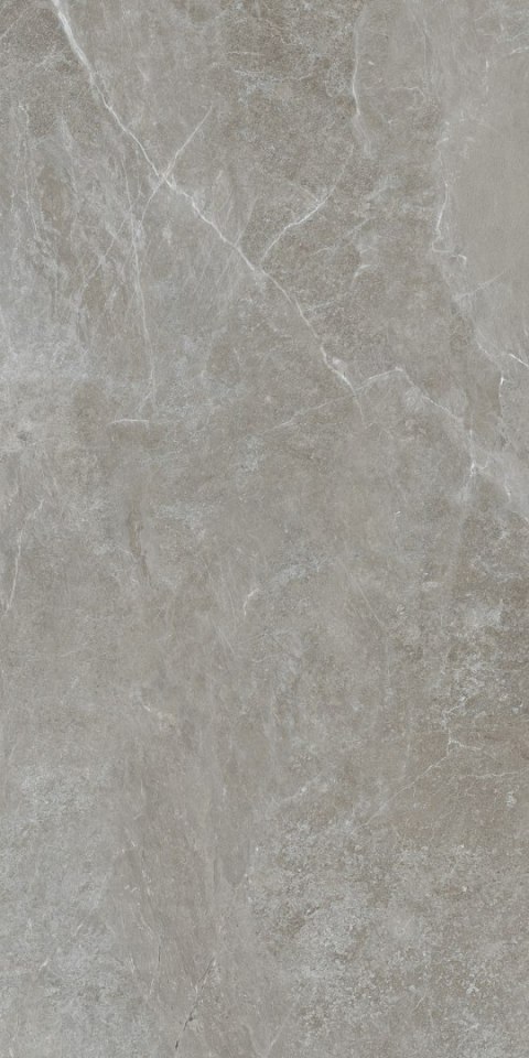 S EPICENTR MARIYA GREY MATT 60X120 G.1 S EPICENTR MARIYA GREY MATT 60X120 G.1