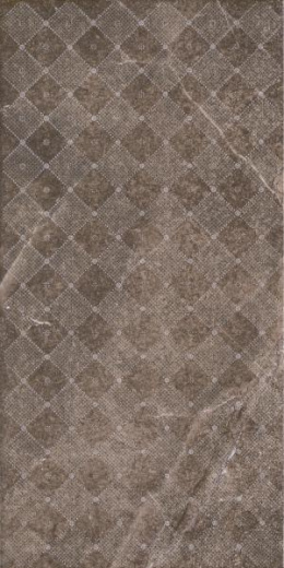 PALAZZO BROWN INSERTO SHINE 30X60 G1