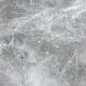 S EPICENTR TESORA GREY MATT 60X60 G.1