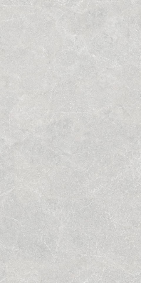 L WESTSTONE GREY CARVING MATT 60X120 G.1 - SPRAWDŹ FAKTYCZNĄ CENĘ I DOSTĘPNOŚĆ.