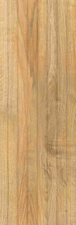 CB CARVALLO NATURAL PREMIUM RETT. 25X75 G.1