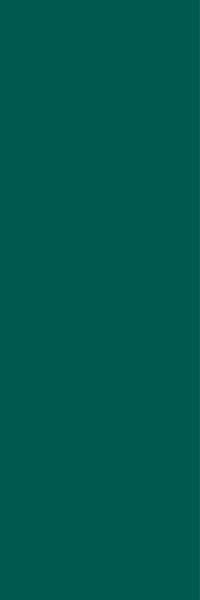 CB DEEP GREEN CCR85-1 30X90 G.1