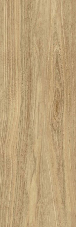 CB DREAMWOOD GLOSSY RETT. 25x75 G.1